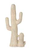 Cactus Resina Beige
