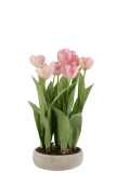 Tulips In Pot Cement Grey Plastic