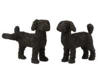 Cane Max Resina Nero Assortimento