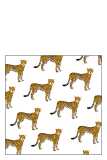 Pack 20 Napkins Leopard Paper