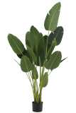 Strelitzia Plastique Vert Large