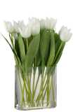 Tulipes En Vase Ovale Plastique