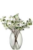 Floraison En Vase Plastique Verre