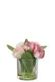 Tulipes En Vase Rond Plastique