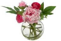 Renoncule Pivoine En Vase Boule