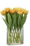 Tulipes En Vase Ovale Plastique