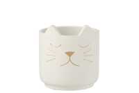 Flower Pot Cat Cement White Gold