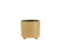 Flowerpot Flower Ceramic Ochre