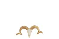 Skull Sheep Resin White/Gold Small