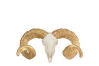 Skull Sheep Resin White/Gold Large