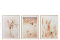 Cadre Fleurs Nature Mdf/Verre