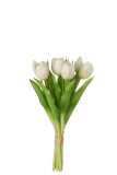 Bouquet Tulipes 7pieces Pu Blanc