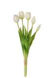 Bouquet Tulipes 5pieces Pu Blanc