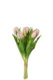 Bouquet Tulipes 7pieces Pu Rose