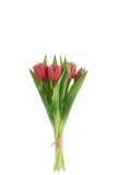 Bouquet Tulipes 7pieces Pu Rose