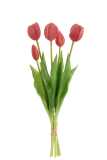 Bouquet Tulipes 5pieces Pu Rose