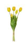 Boeket Tulpen 5stuks Pu Geel