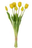 Bouquet Tulipes 7pieces Pu Jaune