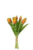 Boeket Tulpen 7stuks Pu Oranje