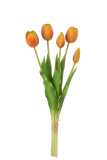 Boeket Tulpen 5stuks Pu Oranje