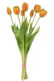 Boeket Tulpen 7stuks Pu Oranje