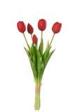 Bouquet Tulipes 5pieces Pu Rouge