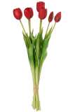 Bouquet Tulipes 7pieces Pu Rouge