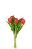 Bouquet Tulipes 7pieces Pu Rose