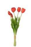 Bouquet Tulipes 5pieces Pu Rose