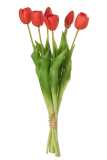 Bouquet Tulipes 7pieces Pu Rose