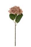 Hydrangea Stoff Hell Rosa