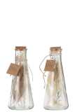 Fles Met Gedroogde Bloemen Glas