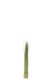 Grasses Bundle Plastic Green Small