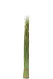 Grasses Bundle Plastic Green