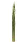 Grasses Bundle Plastic Green Large