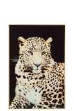 Wanddekoration Leopard