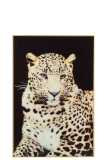 Decoracion De Pared Leopardo