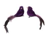 Bird+Clip Polyfoam/Feathers Purple