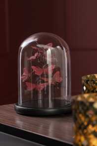 Bell Jar Butterflies Glass