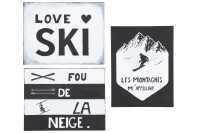 Plakat Text+Abbildung Ski Metall