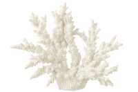 Corail Poly Blanc Extra L 