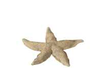 Starfish Polyresin Brown/Gold