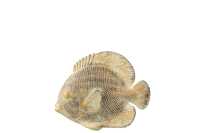 Poisson Plat Poly Marr/Or Small