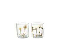 Photophore Fleur Marguerite Verre