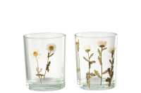 Photophore Fleur Marguerite Verre