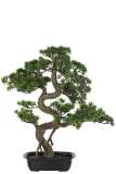 Podocarpus Bonsai Artificial Green