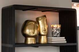 Vaas Hoofd Rond Modern Resine Goud