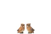 Hibou Porcelaine Marron Small