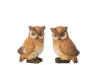 Hibou Porcelaine Marron Large