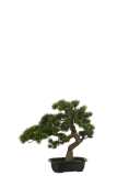 Pino Bonsai Artificial Verde Small